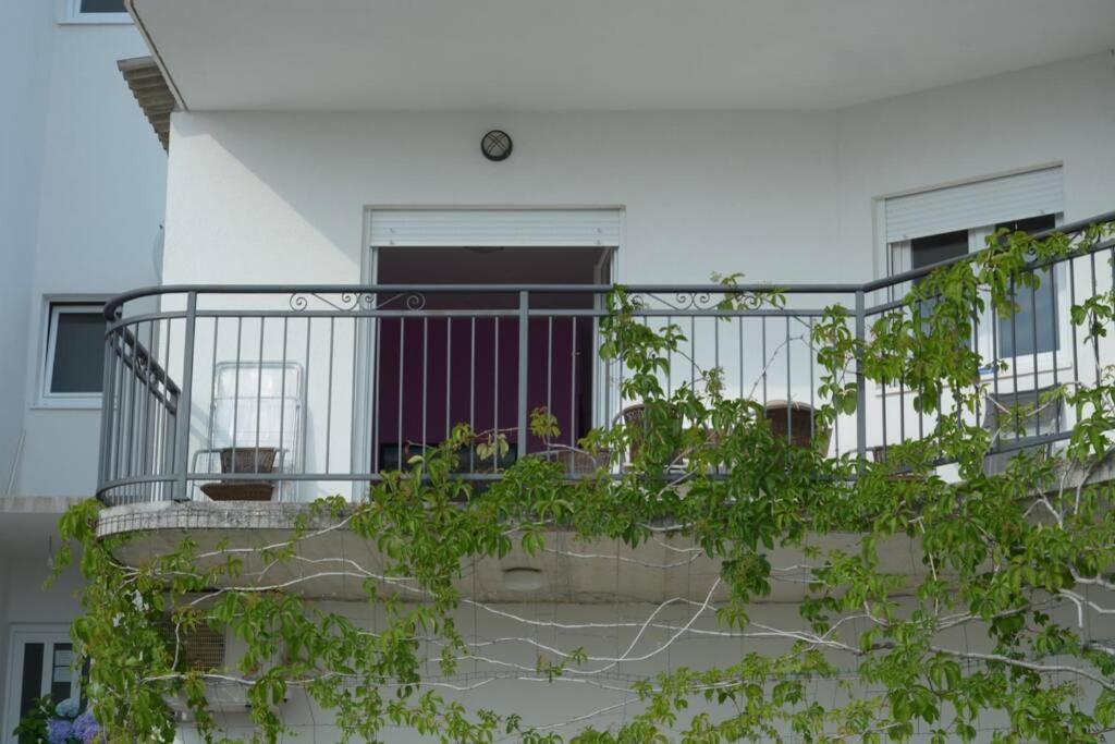 Recommendation For Small And Young Families Duce Exterior photo