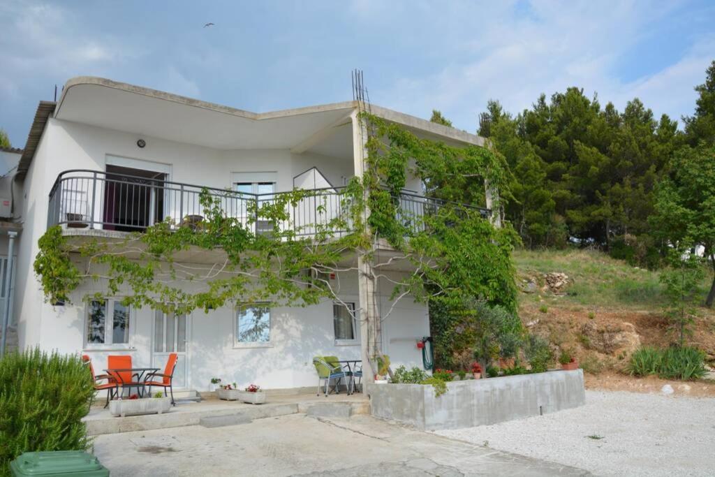 Recommendation For Small And Young Families Duce Exterior photo